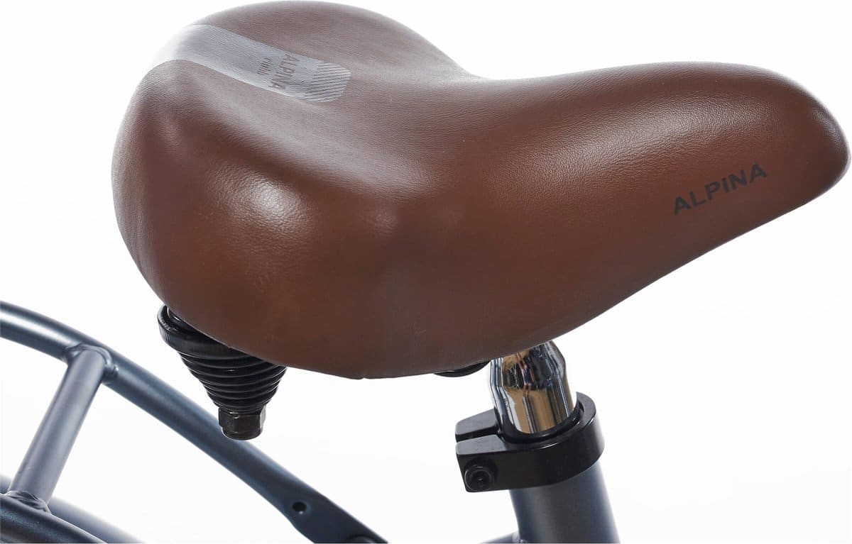Alpina Clubb Meisjesfiets 22" Satin Blue Matt