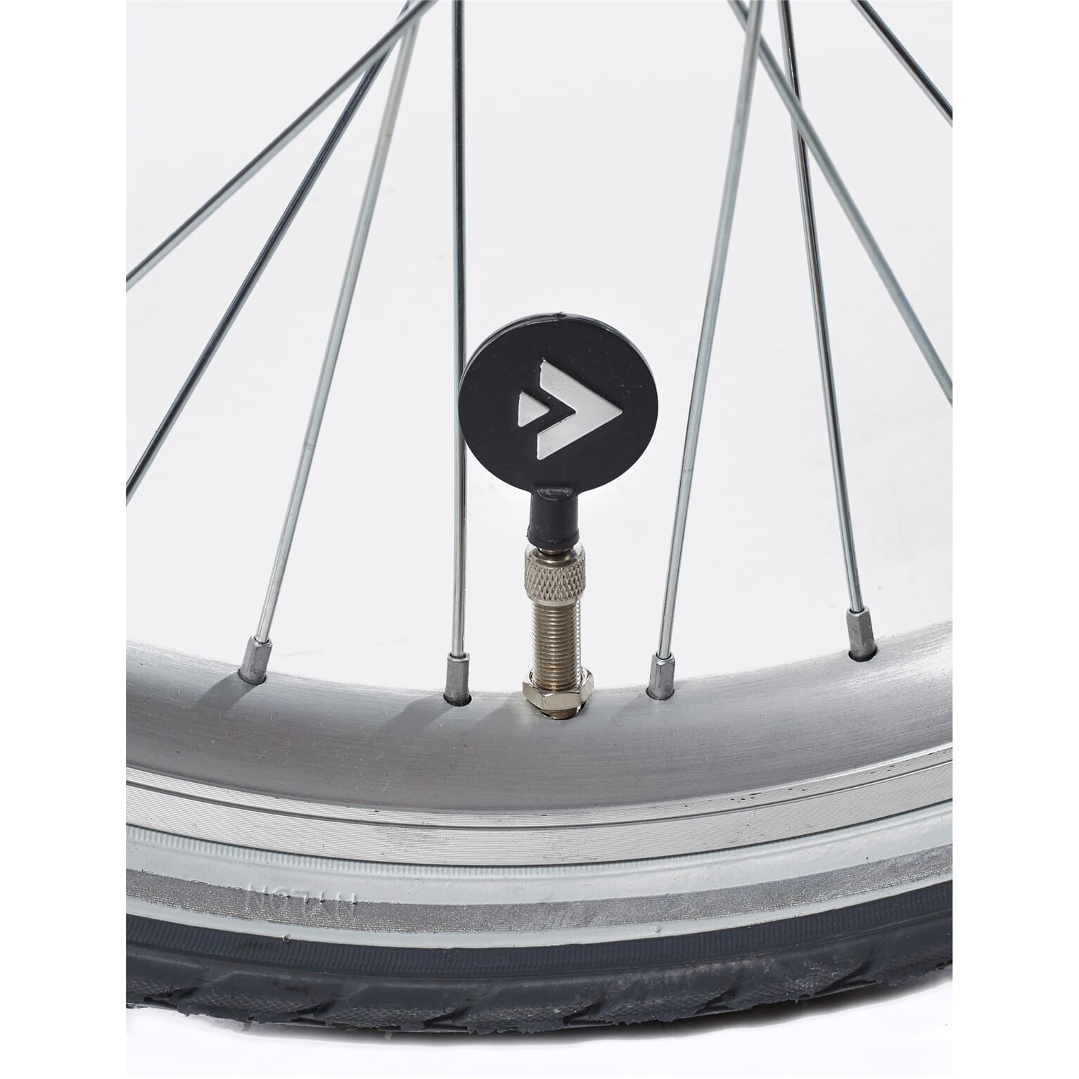 Alpina Clubb Meisjesfiets 20" Satin Blue Matt