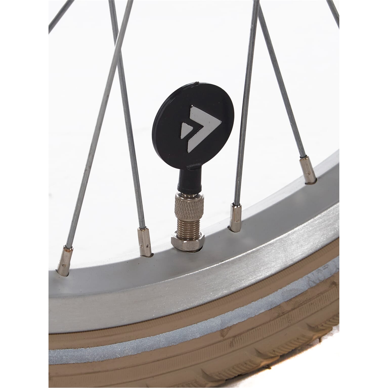 Alpina Cargo Meisjesfiets 22" Velvet Green Matt