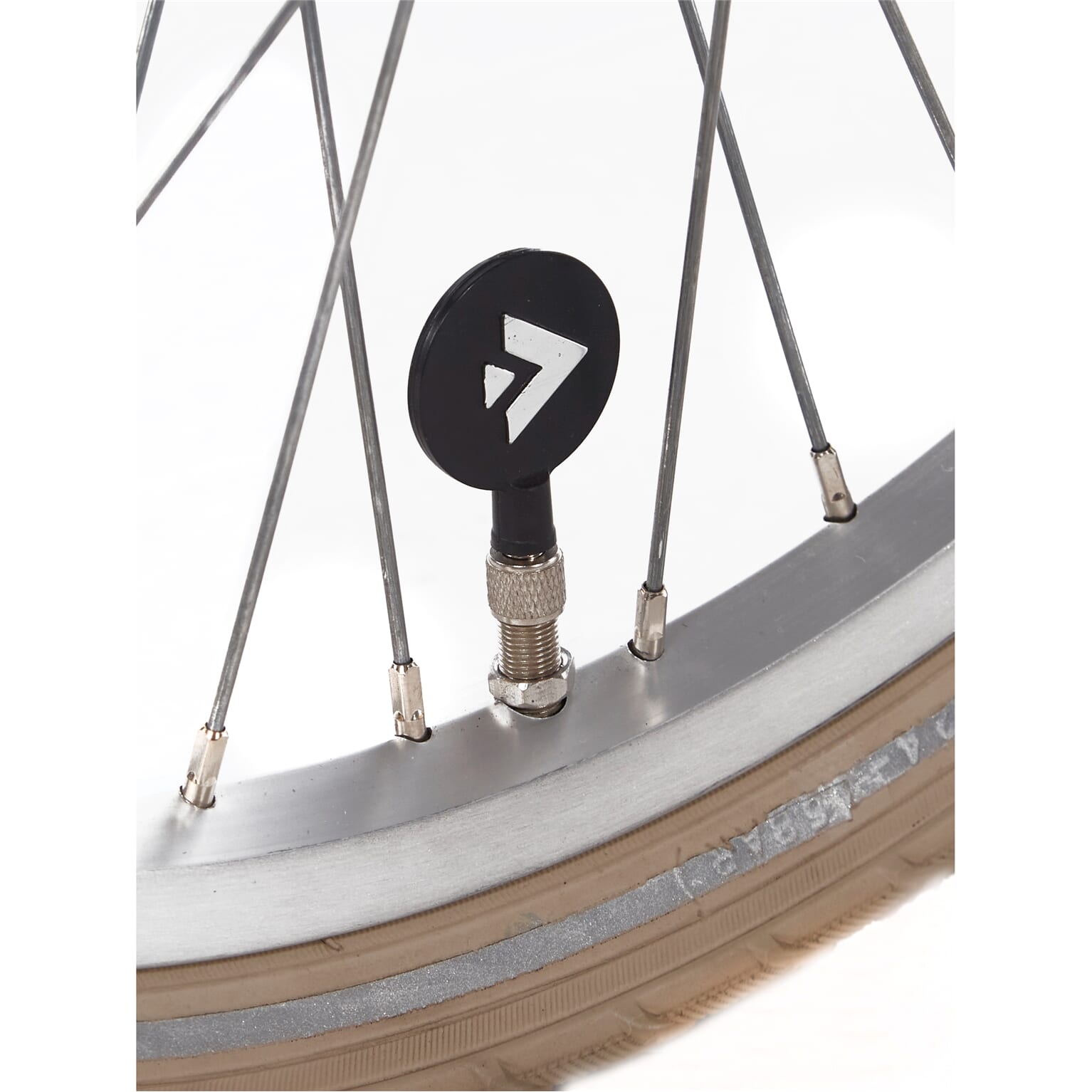 Alpina Cargo Meisjesfiets 22" Wood Rose Matt