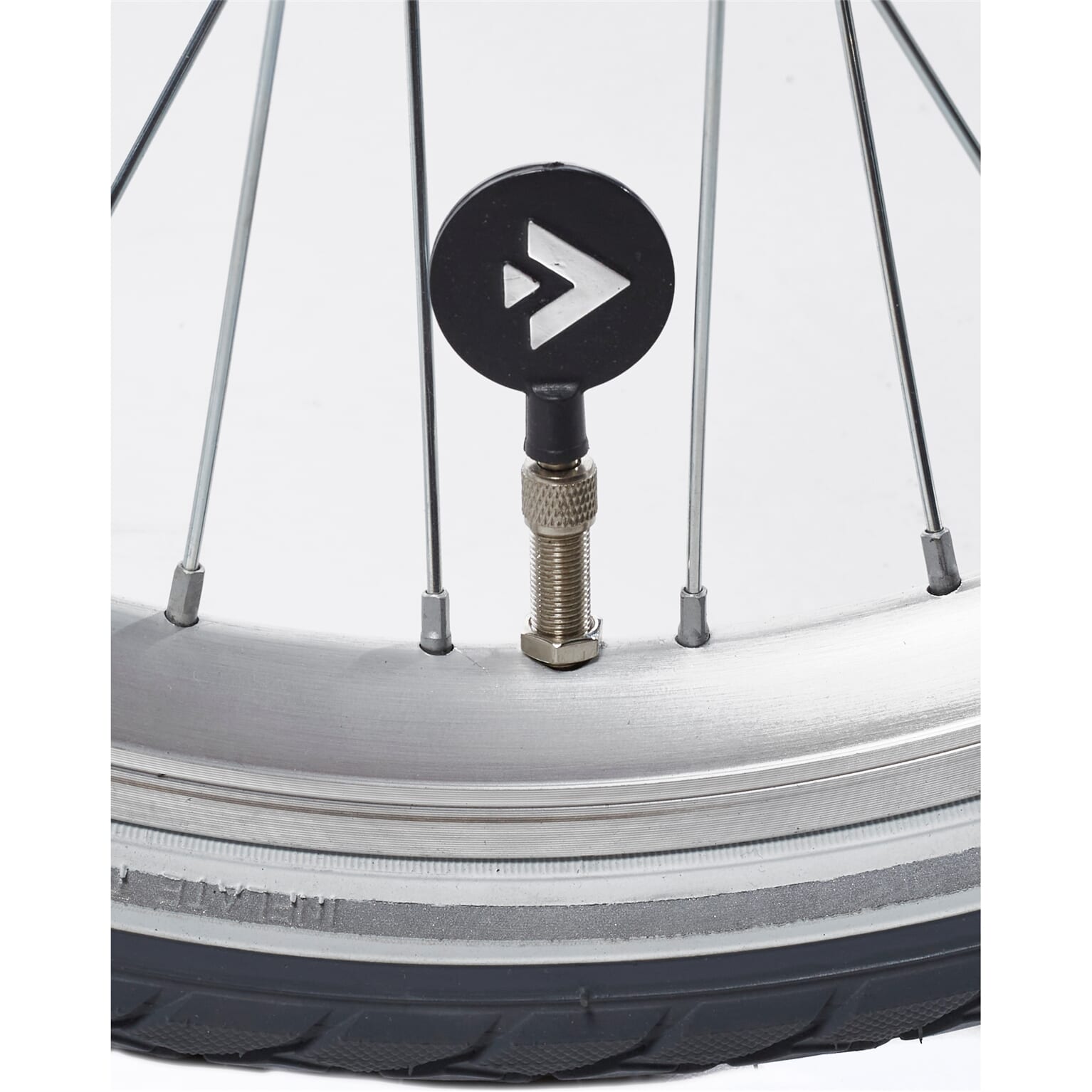 Alpina Clubb Meisjesfiets 22" Rose Gold Matt