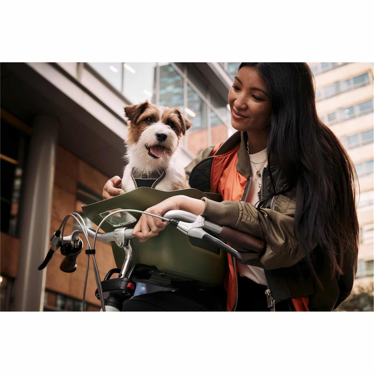 Kvisp hondenfietszitje met harnas M forest green