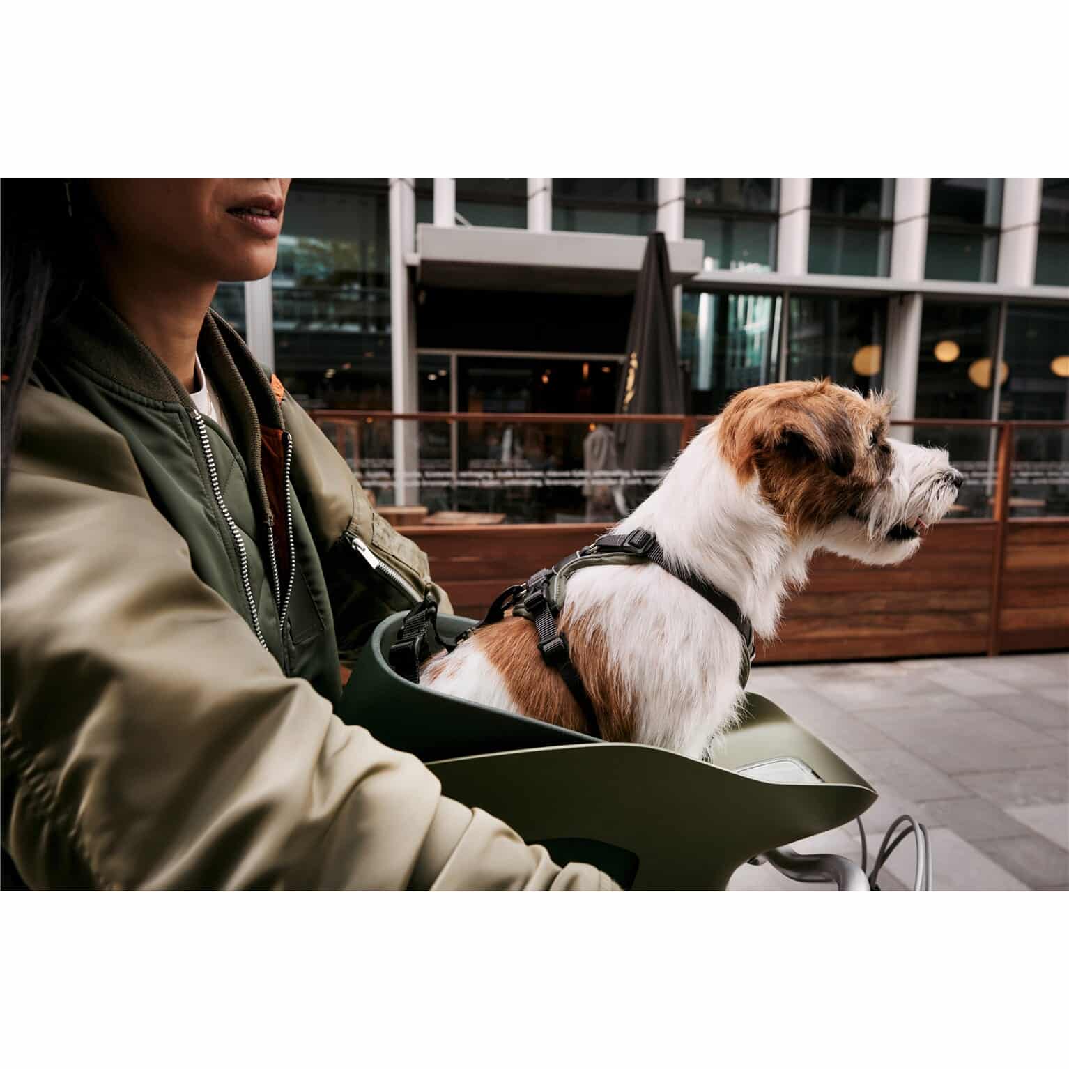 Kvisp hondenfietszitje met harnas M forest green