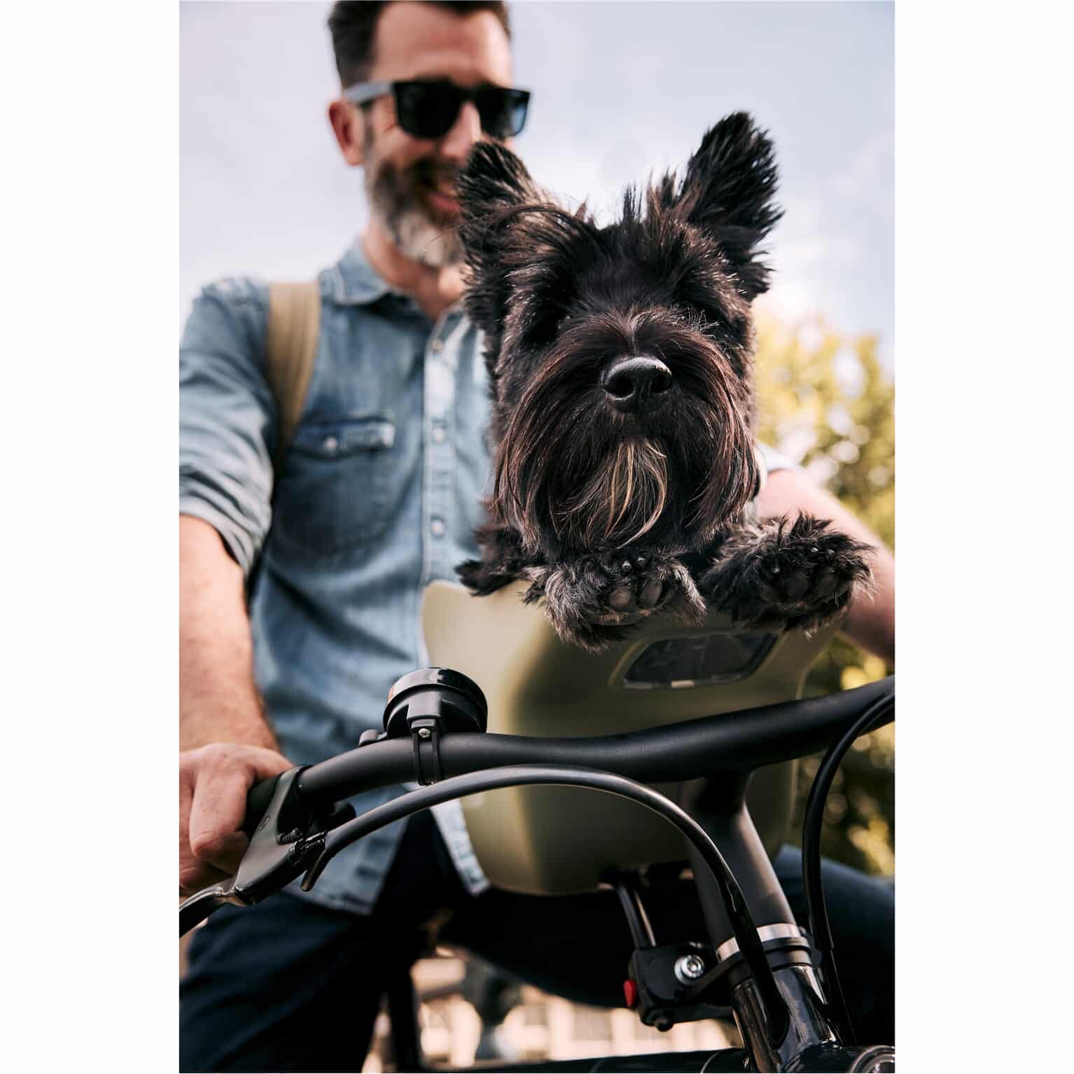 Kvisp hondenfietszitje met harnas M forest green