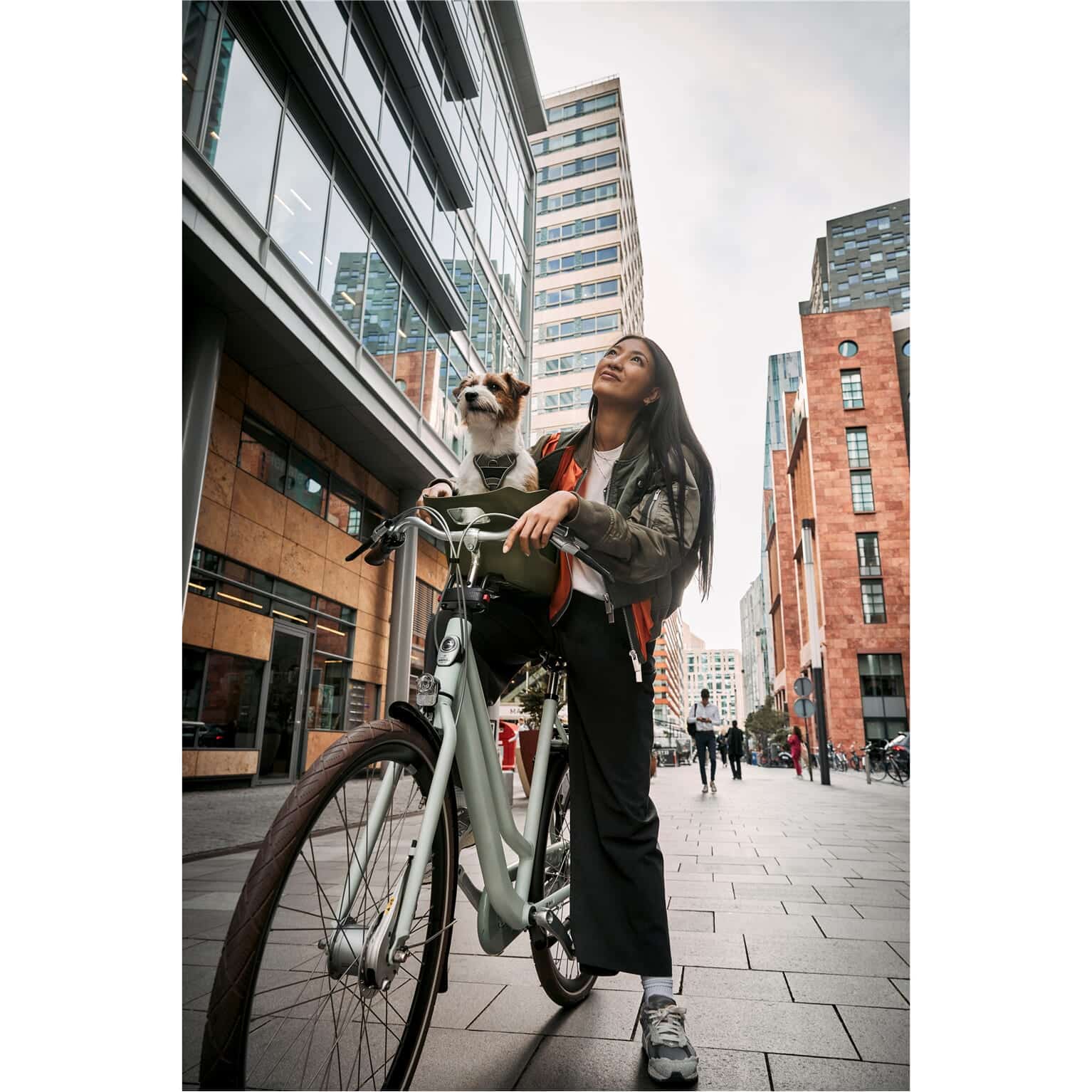 Kvisp hondenfietszitje met harnas M forest green