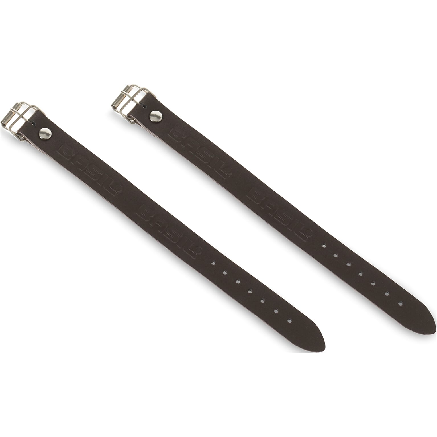 Basil mand Darcy L nat