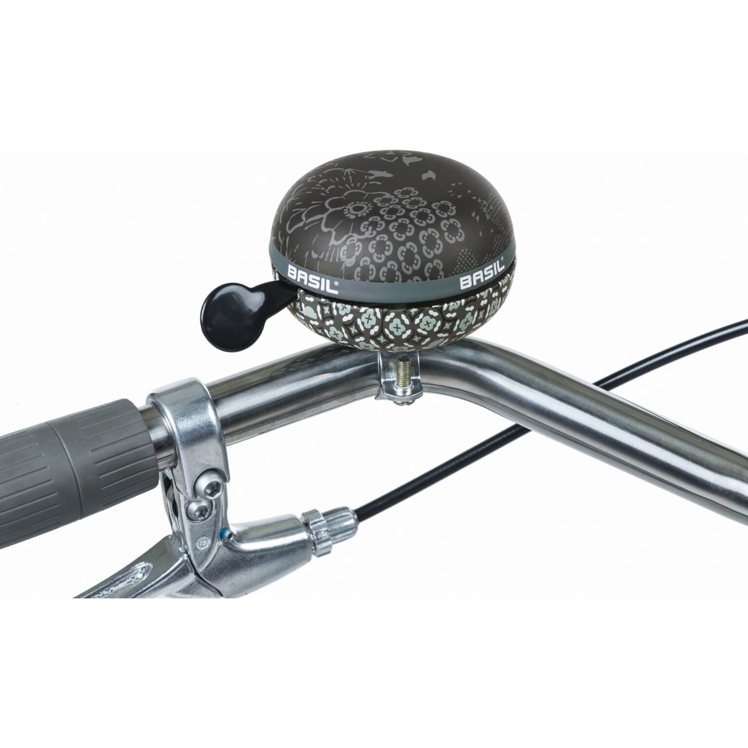 Basil bel Boheme charcoal