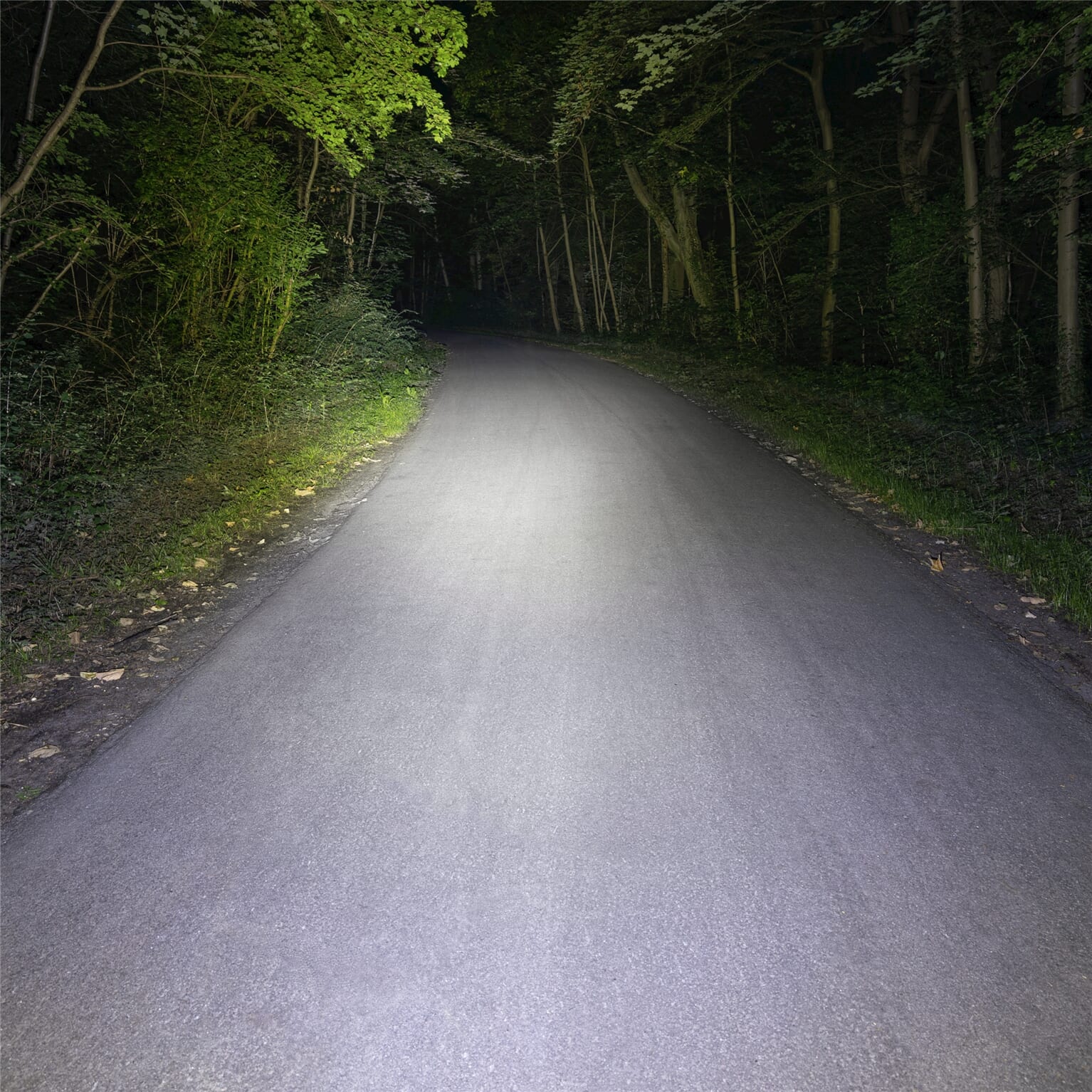 Sigma verlichtingsset Buster 800 + Buster RL 80 usb