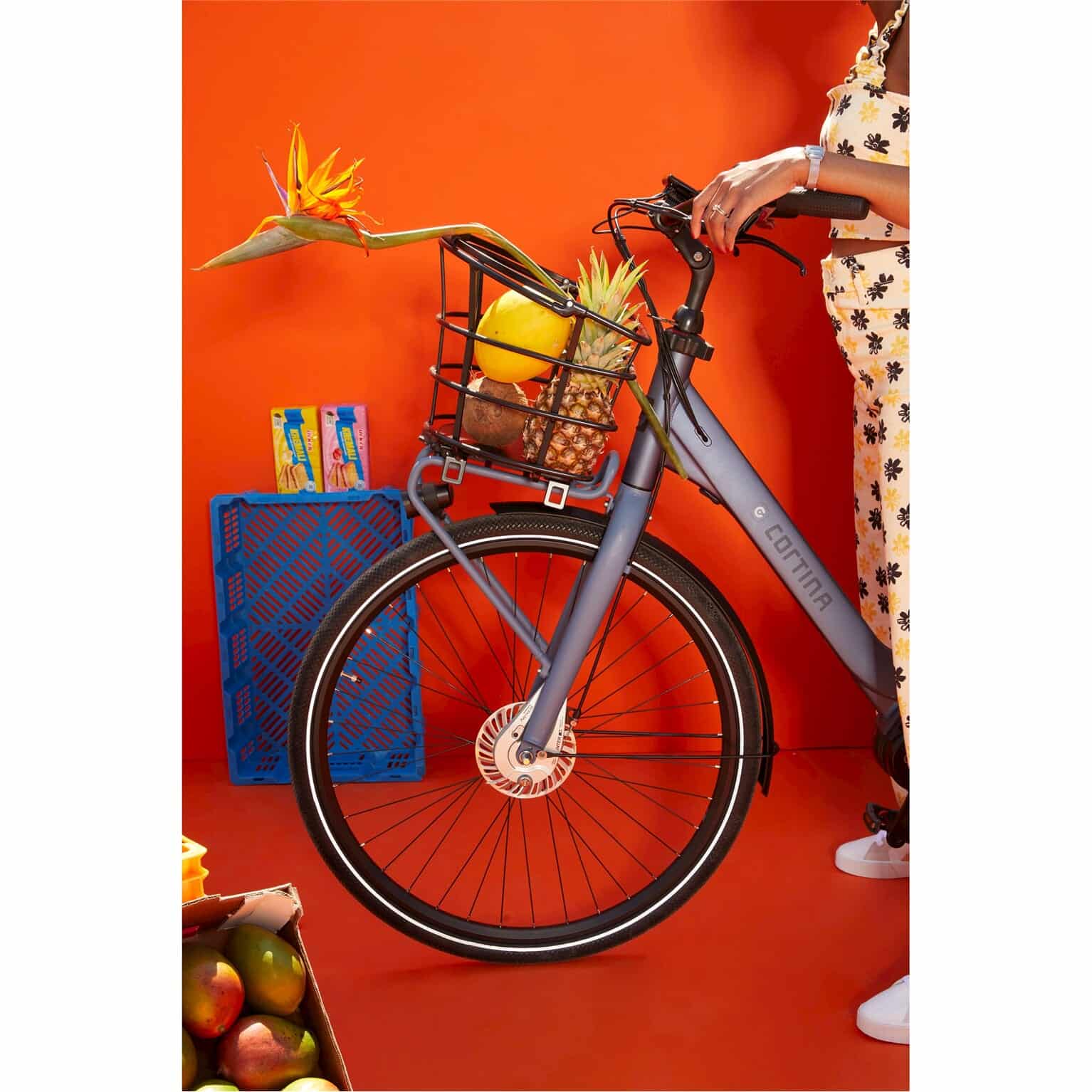 Cortina Mand Tokyo AVS zwart halfrond