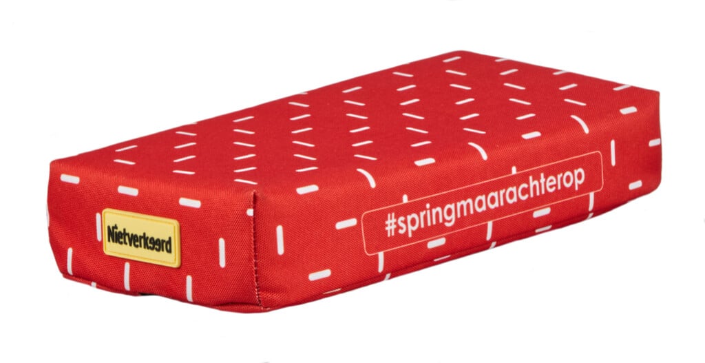 Nietverkeerd zitkussen Mystery Stripes