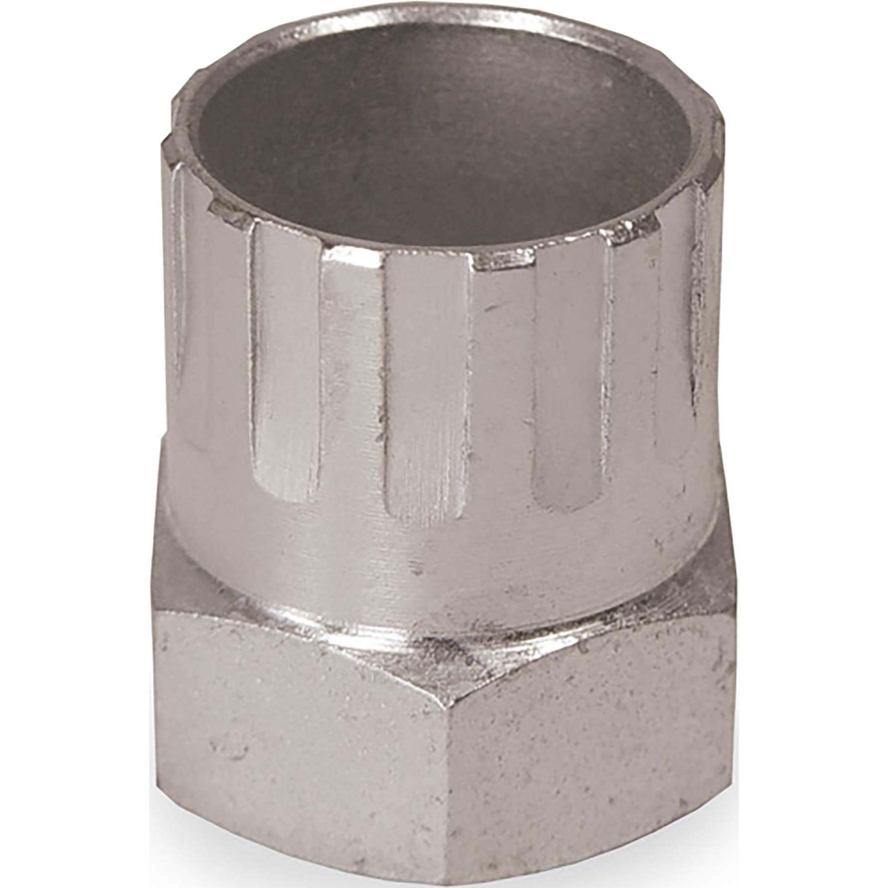 Cyclus pionafnemer Sachs Aris